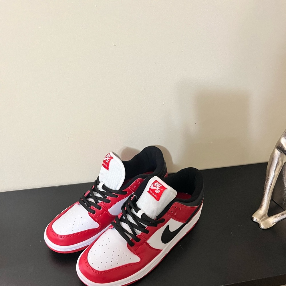 Brand new Nike dunks men